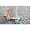 Picture of Bird Glow Kids Scooter - Blue